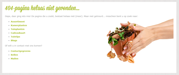 Voorbeeld 404-pagina verbeterd
