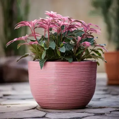 De kansen die AI biedt