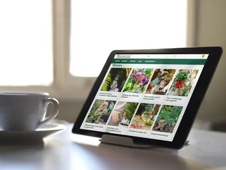 De kracht van nieuwsberichten op websites