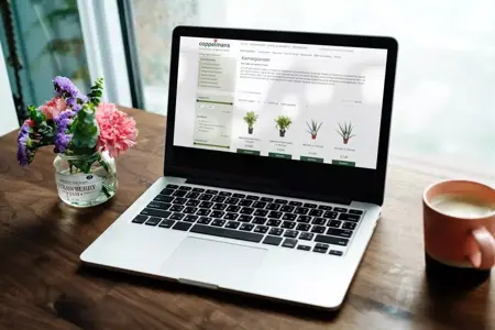 “De webshop stond binnen 2 weken live”