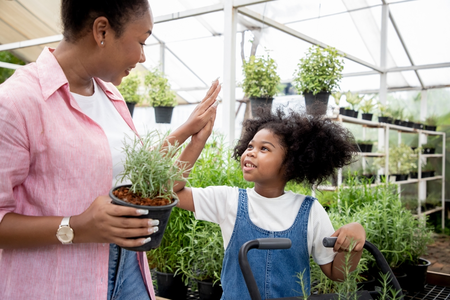 entertainment tuincentra