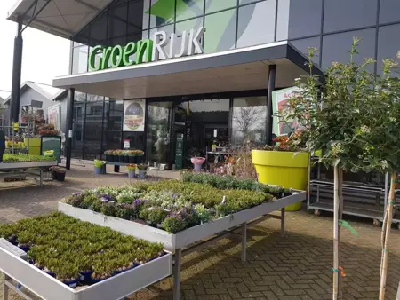 “Ondanks alles zijn we drukker dan ooit tevoren”