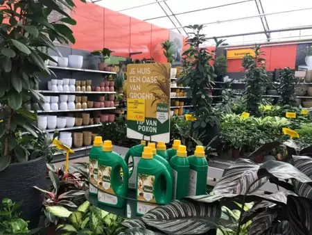 Online merkbeleving: 6 tips