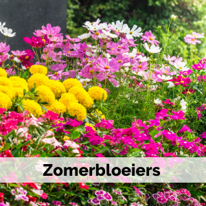 Plant database Garden Connect Plant database Garden Connect