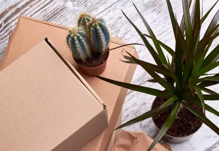 Update: 4 tips om online planten te verkopen
