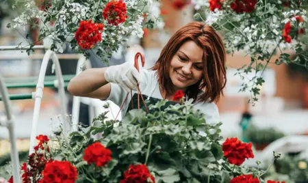 Videometrics 2026: Waarom je tuincentrum meer nodig heeft dan alleen 'views'